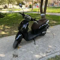 کیوجی وارداتی طرح وسپا