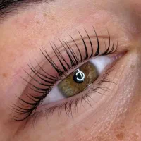 انجام خدمات میکروابرو،شیلدینگ لب،لیفت مژه وابرو|خدمات آرایشگری و زیبایی|سنندج, |دیوار