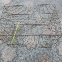 قفس 52 و لانه فنچ