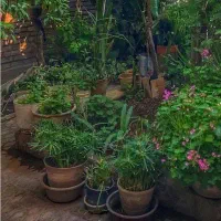 خانه-مجردی-اتاق-مجردی