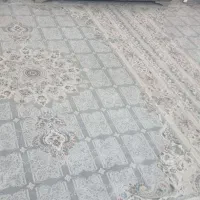 فرش|فرش|نیشابور, امین اسلامی|دیوار