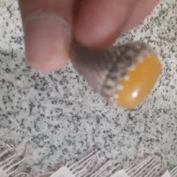 انگشتر|جواهرات|بندرعباس, |دیوار