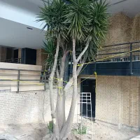 طراحی واجرای فضای سبز  باغبانی