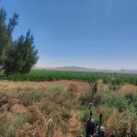 فروش زمین ۸۵ هکتار در فدک|فروش زمین و ملک کلنگی|شاهین‌شهر, فدک|دیوار