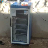 دستگاه جوجه کشی بلدرچین دماوند