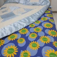 تشک وتخت وآینه کنسول|تخت و سرویس خواب|زاهدان, |دیوار