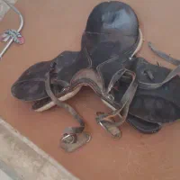 زین ودهنه|اسب و تجهیزات اسبسواری|شوشتر, |دیوار