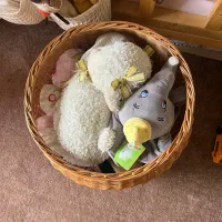 باکس حصیری|اسباب و اثاث بچه|گرگان, |دیوار