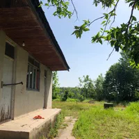 اجاره خانه کلنگی  غیر مسکونیبرای گلخانه ۱۵۵۰|اجارهٔ خانه و ویلا|خمام, |دیوار