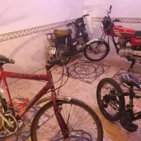 دوچرخه|دوچرخه، اسکیت، اسکوتر|هریس, |دیوار