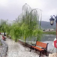 ویلا سالیانه  ماسال|اجارهٔ خانه و ویلا|ماسال, |دیوار