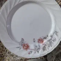 ظروف چینی|ظروف سرو و پذیرایی|شیراز, سلطان آباد|دیوار