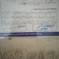 پراید مدل ۱۳۸۳|خودرو سواری و وانت|دلیجان, |دیوار