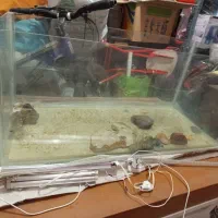 آکواریوم|ماهی|پردیس, فاز ۲|دیوار