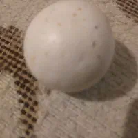 سنگ الماس اسیاب کهنه دوعددتسبیح