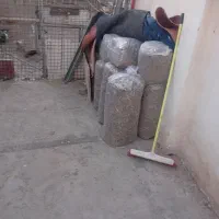 کود کبوتر|خدمات باغبانی و درختکاری|قزوین, |دیوار