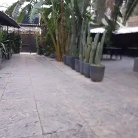 استخدام ویتر