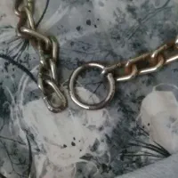 زنجیر|ابزارآلات|فردیس, منظریه|دیوار