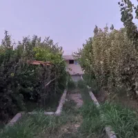 باغچه ۳۰۰متری ده حسن فنس اتاق سهم اب|فروش زمین و ملک کلنگی|رباط‌کریم, ده‌حسن|دیوار