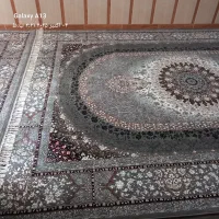 فرش جدید طرح پتینه جدید|فرش|تربت جام, کاریز نو سفلی|دیوار