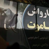 جذب نیروی کار در کارواش