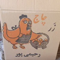 کارگر مرغداری تخم گذار