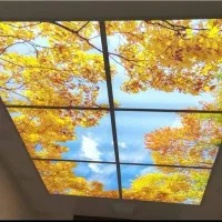 اجرای سقف کاذب و دکوراسیون داخلی