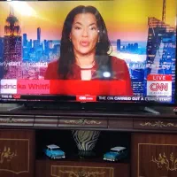 گربه ملوس امانت|گربه|مشهد, احمدآباد|دیوار