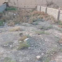 ملک فروشی