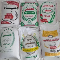 برنج ایرانی از شالیزارهای شمال