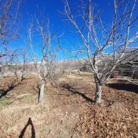 زمین باغ ویلا در بهترین لوکیشن فشند