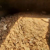 نان خشک تمیز وه سالم