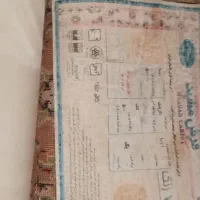 فرش|فرش|مشهد, کوثر|دیوار