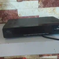سالم هست