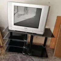 تلوزیون