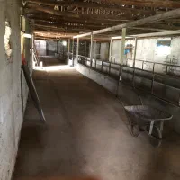 اجاره واحد صنعتی|اجارهٔ دفتر صنعتی، کشاورزی، تجاری|شلمان, |دیوار