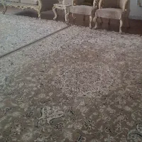 فروش فرش در حد نو|فرش|یزد, |دیوار