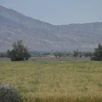 فروش و اجاره ده هکتار|فروش دفتر صنعتی، کشاورزی، تجاری|دهرم, |دیوار