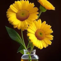 مشاوره راهنمایی داوطلبانه