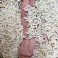 فروش برنج فجر محلی|حراج|نگین شهر, |دیوار