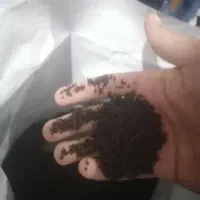 چای سیاه گیلان