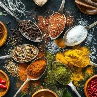 صندوقدار خانم