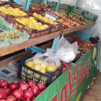 فروش میزهای میوه فروشی|فروشگاه و مغازه|یاسوج, |دیوار