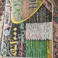 فرش ۱۰۰۰۰شانه درحدنونو