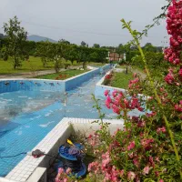 سمپاشی حرفه ماست