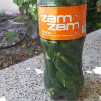 خیارشور خونگی