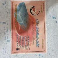 تشک طبی سالم