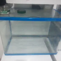 اکواریوم معاوضه با پرنده