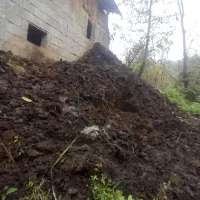 کود حیوانی خشک|خدمات باغبانی و درختکاری|رانکوه, |دیوار