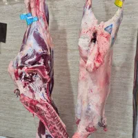 فروشنده قصابی و مرغ فروشی